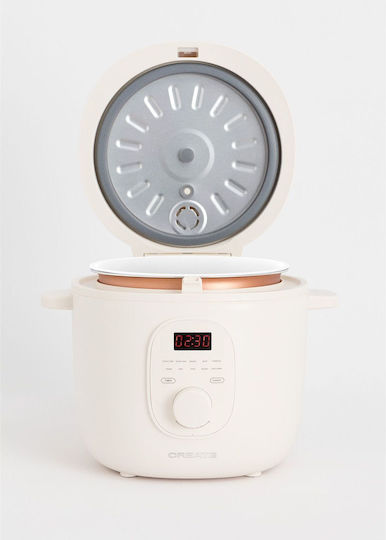 Create Rice Cooker 400W cu Capacitate 2lt