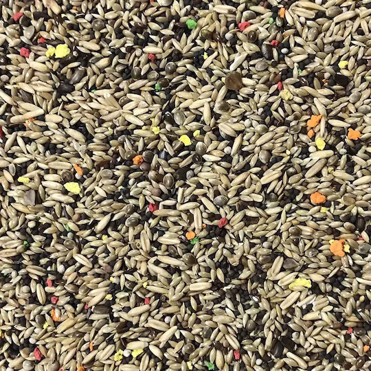 Farma Friends Special Mix Birds Food for Canaries 1kg
