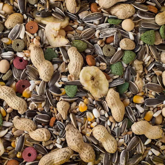 Record Parrot Special Mix Birds Food for Big Parrots 800gr 800gr