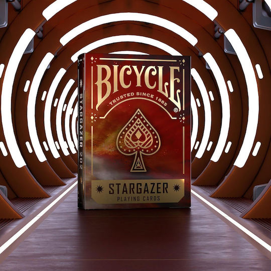 Bicycle Stargazer 202