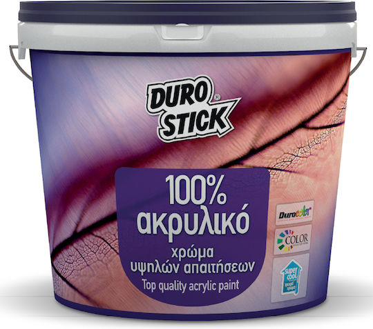 Durostick 100% Acrylic Plastic Acrilyc Paint for Interior and Exterior Use Ceramides 750ml