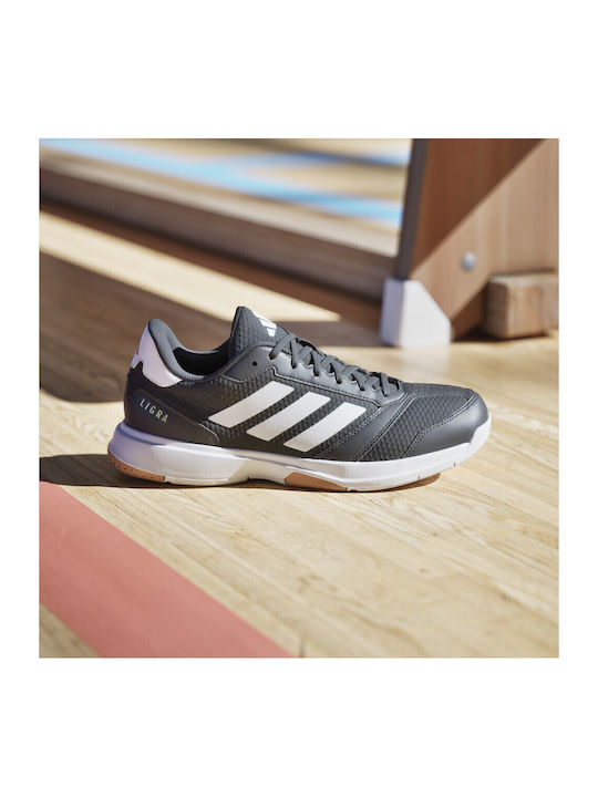 Ligra 8 Sport Shoes Volleyball Black