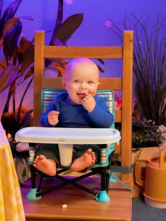 Disney Portable Metallic Booster Seat for Chair