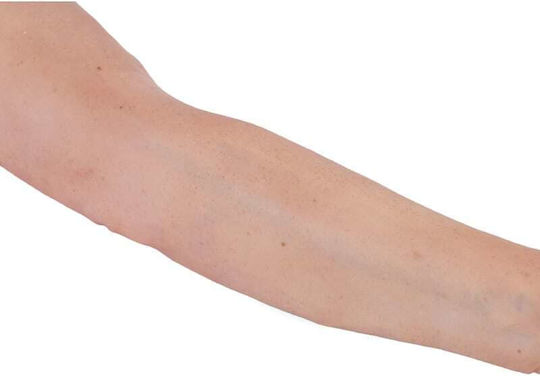 Erler Zimmer Appendages & Joints Model