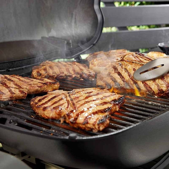 Weber Q 3200N Gas Grill with 2 pcs 6.44kW