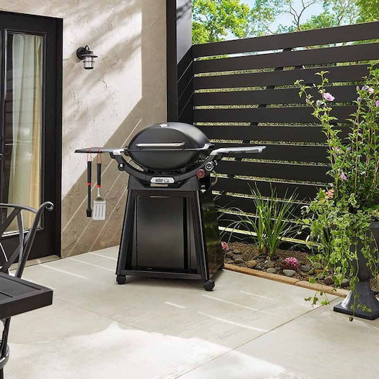 Weber Q 3200N Gas Grill with 2 pcs 6.44kW