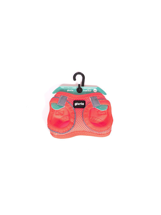 Gloriapets Dog Harness Vest Fuchsia