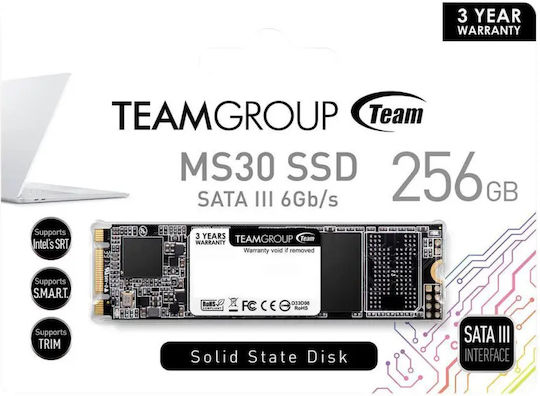 TeamGroup MS30 SSD 256GB M.2 mit SATA III Verbindung