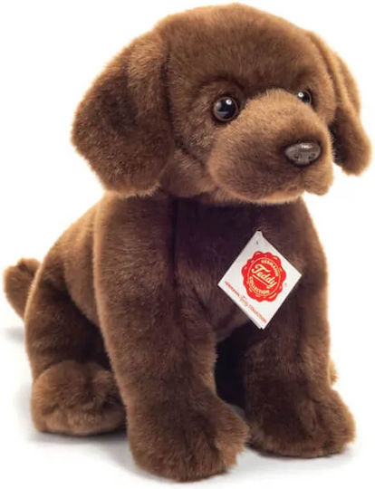 Teddy Teddy Plush Puppy for 3+ Years 25 cm