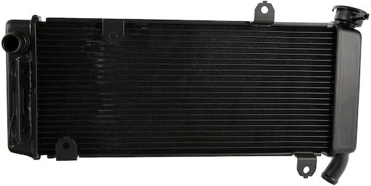 Radiator Water Kawasaki Versys 650cc Kle Abs 2015>2021 Roc121219