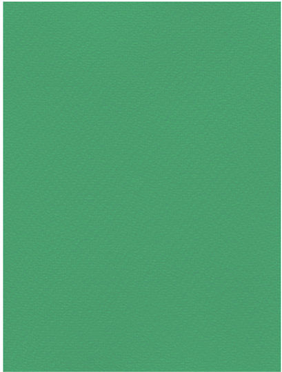 Favini Karton 70x100cm 220gr Grün Nr. 16
