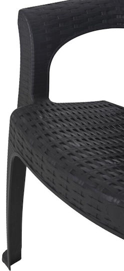 Scaun Negru-Maro