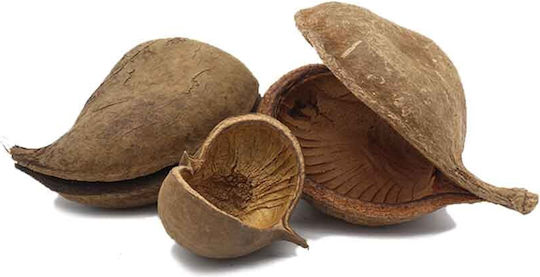 Nature4pets Βuddha Pods Xl