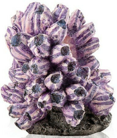 Oase biOrb Barnacle Aquarium Ornament