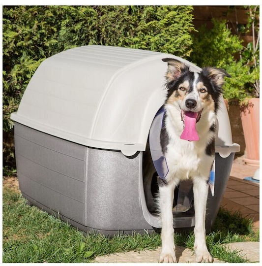 Ferplast Kenny Door Dog 23.5x0.2x37.5cm made of Plastic in White Color 23.5 x x 37.5cm