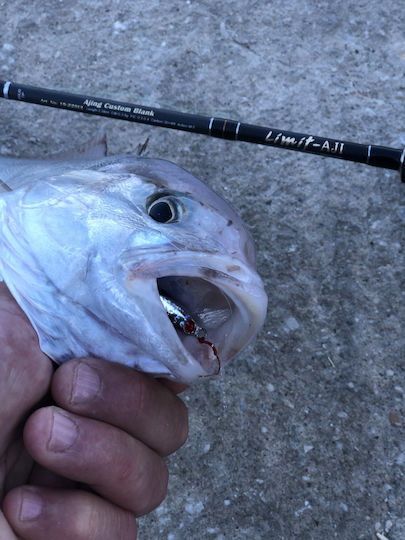 Pregio Limit Aji Fishing Rod for Light Rockfishing 2.28m 0.3-5gr