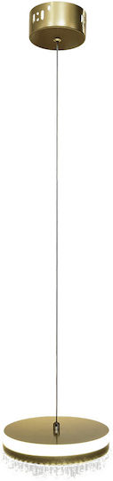 Eko Light Κρεμαστό Φωτιστικό Χρυσό LED 20x20εκ.