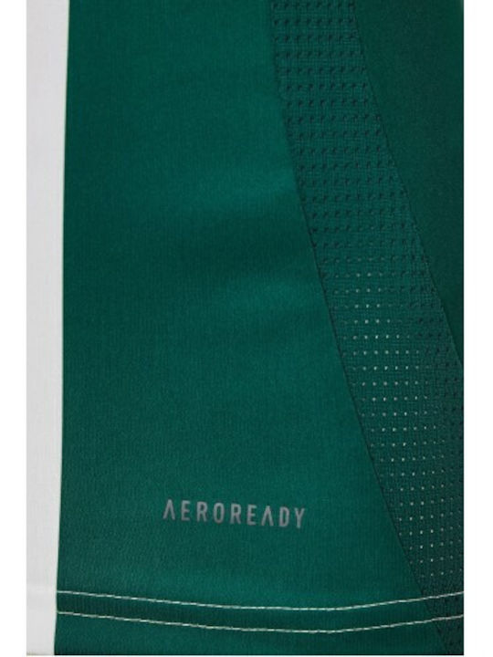 Panathinaikos 2024-25 Home Jersey Style Football