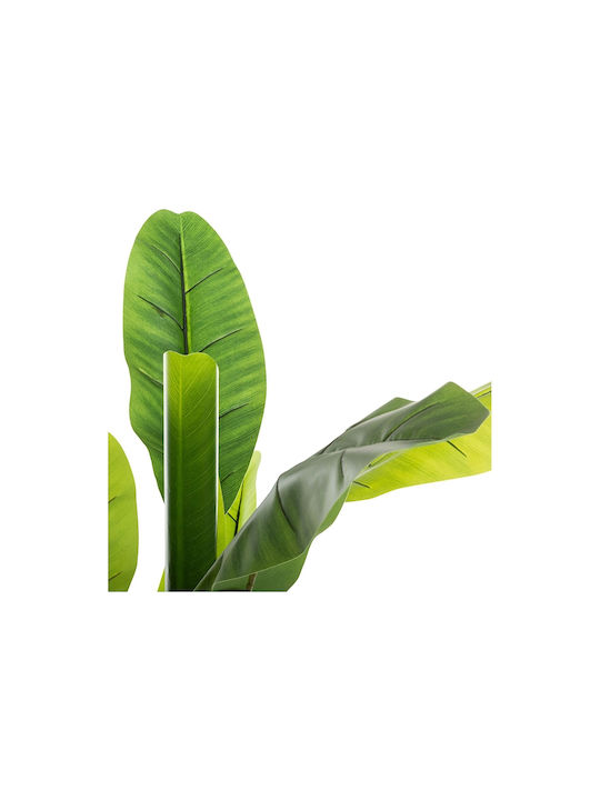 Musa Potted Plant 130cm Atmosphera