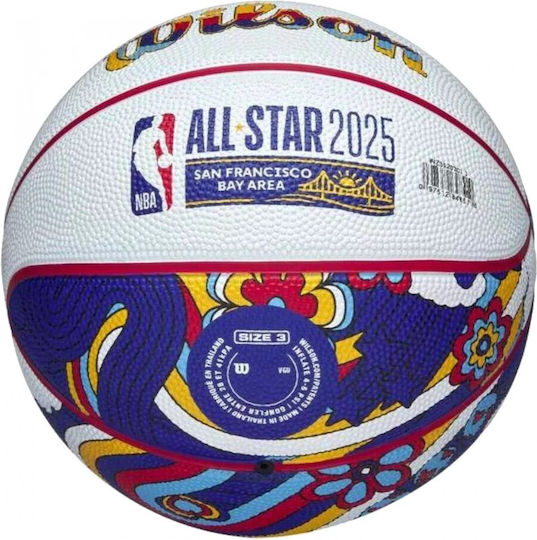 Wilson Mini Basketball Draußen