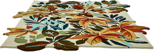 Sanderson 146501