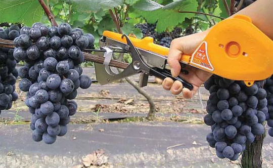 Tapetool Plant Tie BZ-B