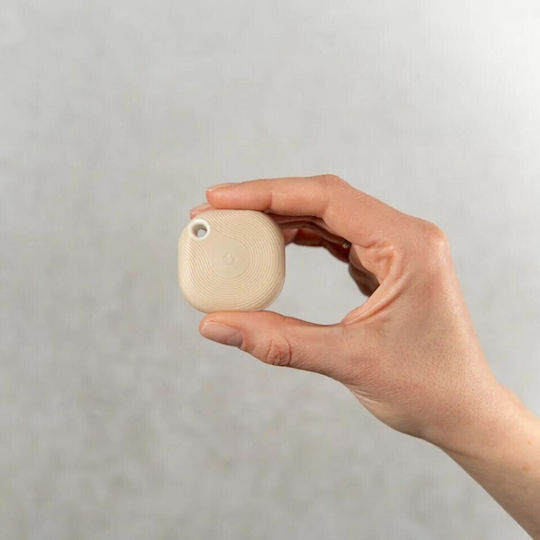 Shelly Tough 1 Smart Button Bluetooth & RF