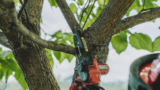 Raider Pruning Battery Chainsaw Solo 20V 1.5kg with Blade 12cm
