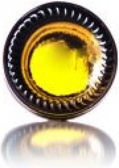 Little Bottle from Glass Capless 30ml (1pcs)