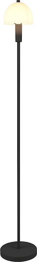 Trio Lighting Φωτιστικό Δαπέδου Υ120εκ. με Ντουί για Λαμπτήρα E14 Μαύρο