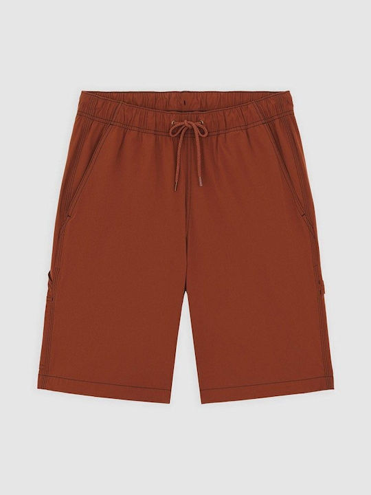 Carpenter Men's Shorts Brown