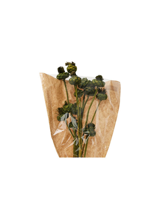 Dried Plant Green 55cm