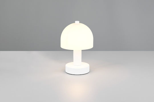 Trio Lighting Decorative Lighting E14 Warm White Mushroom 12x12x19cm