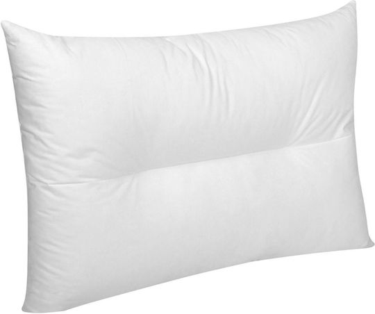 Polyester Ανατομικό 45x65cm Polyester Ανατομικό 45x65cm