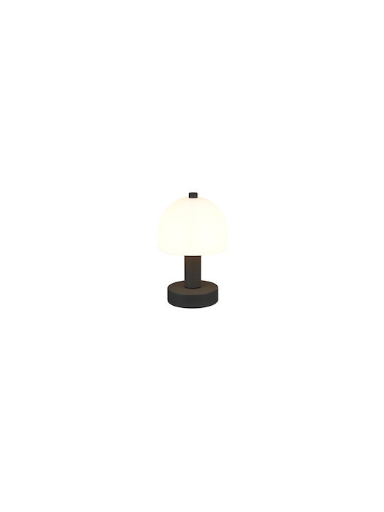 Trio Lighting Decorative Lamp Mushroom with Socket for Bulb E14 Black