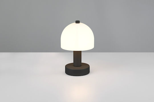 Trio Lighting Lămpi Decorative Pentru Masă E14 Alb Cald Ciupercă 12x12x19cm