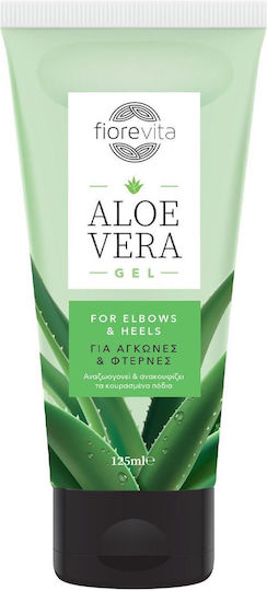 purchase aloe vera plant Buy 'Large Aloe Vera Plants - Aloe barbadensis' Care and Growing Guide