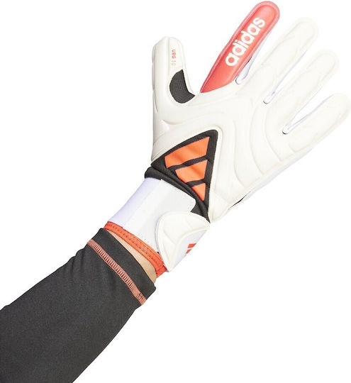 adidas Copa Gl Lge Adults Goalkeeper Gloves White
