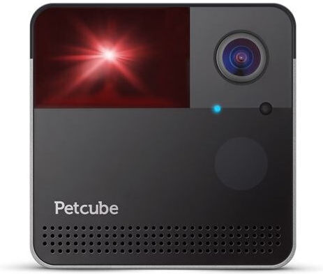 Petcube Play 2 Action Camera HD (720p) Black