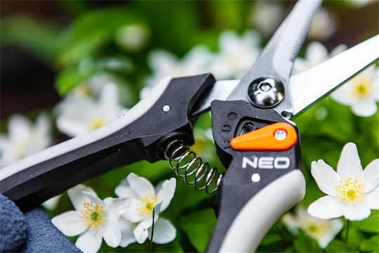 Neo Tools Traubenschere Länge 20cm mit Maximalem Schnittdurchmesser 6mm