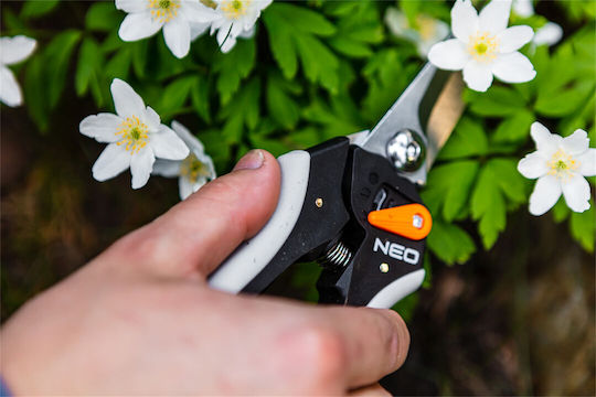 Neo Tools Traubenschere Länge 20cm mit Maximalem Schnittdurchmesser 6mm