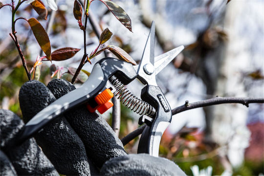 Neo Tools Ψαλίδι Τρύγου Μήκους 18.5cm με Μέγιστη Διάμετρο Κοπής 6mm