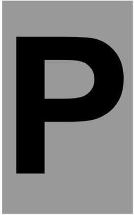 Ergo P Πινακίδα με Γράμμα Ρ σε Μαύρο Χρώμα 6cm 572410.0078