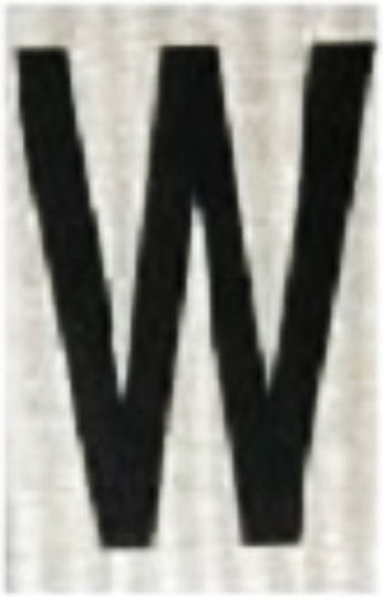 Ergo "W" Sign with Text in Black Color Aluminum 4cm 572410.0085