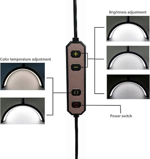 Aesthetic Center Lighting Half Moon Clamp Support Light Fixture