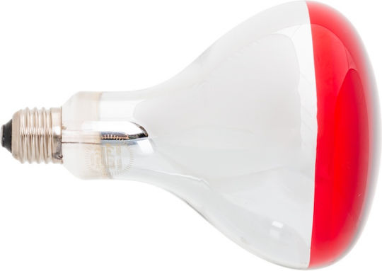 Eurolamp Infrared Lamp 250W for E27 Socket