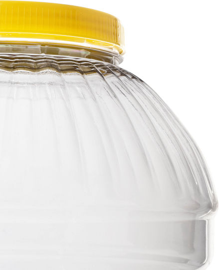 Kadax Vaza Uz General cu capac ermetic Plastic Transparent 10000ml