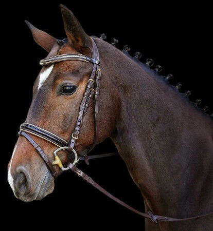 Kerbl Horse Bridle Cob