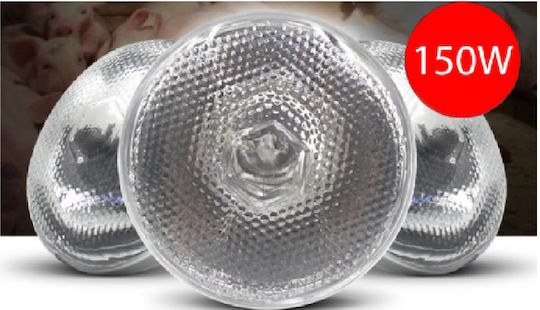 Lampă Termică