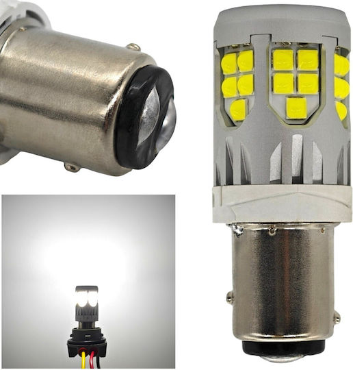 Λάμπα Αυτοκινήτου P21/5W / DRL Canbus LED 5500K Ψυχρό Λευκό